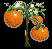 orangetree-n.zip